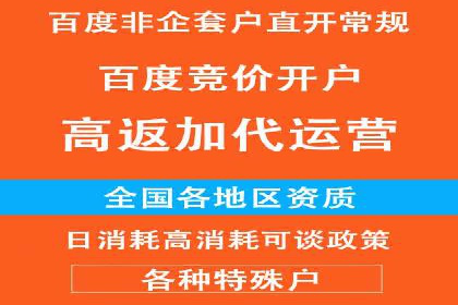 从零到一：企业如何通过百度竞价实现快速增长？——以某公司为例
